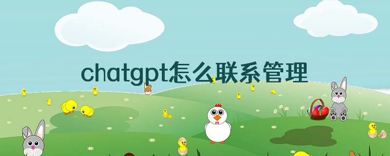 chatgpt怎么联系管理员