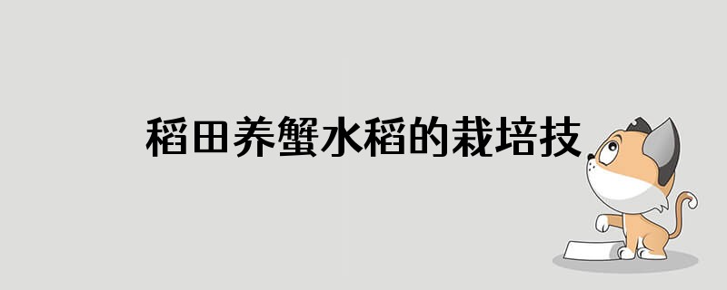 稻田养蟹水稻的栽培技术有什么要求