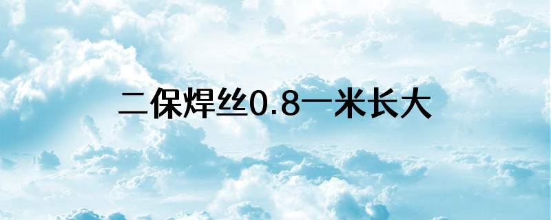 二保焊丝0.8一米长大概有多重