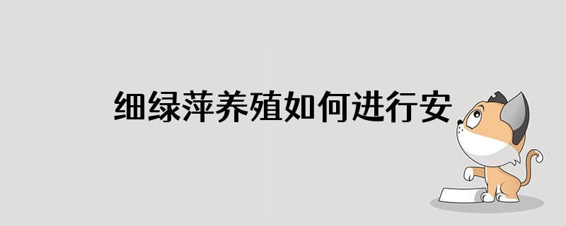 细绿萍养殖如何进行安全越冬