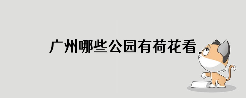 广州哪些公园有荷花看