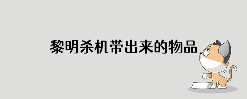 黎明杀机带出来的物品可以存起来么