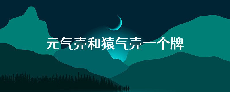 元气壳和猿气壳一个牌子的吗?