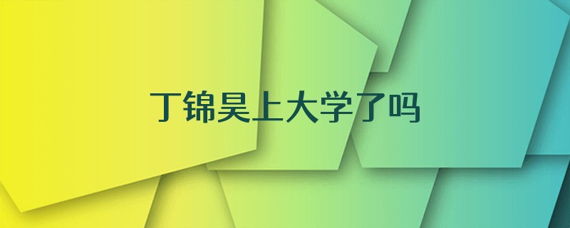 丁锦昊上大学了吗