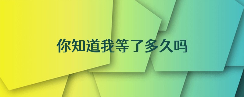 你知道我等了多久吗