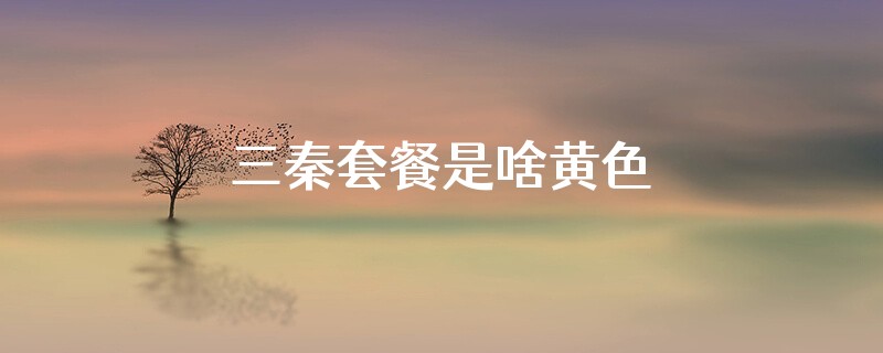 三秦套餐是啥黄色