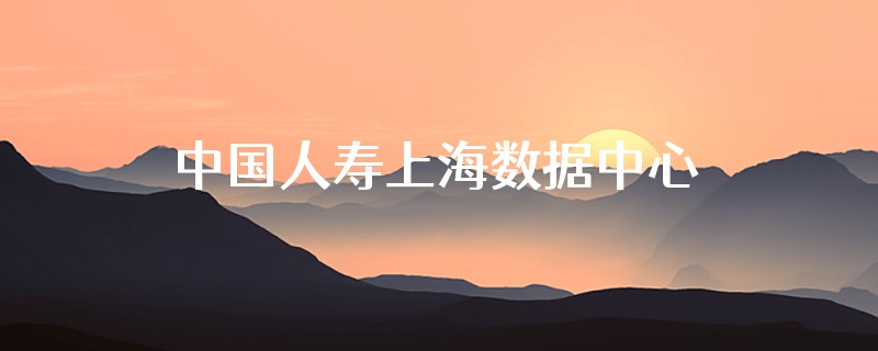 中国人寿上海数据中心是不是体制内