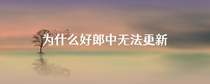 为什么好郎中无法更新