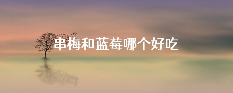 串梅和蓝莓哪个好吃