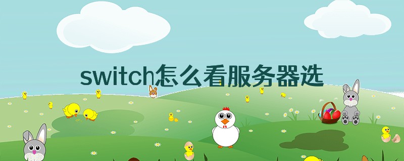 switch怎么看服务器选在哪里