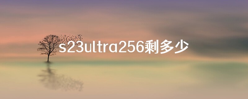s23ultra256剩多少