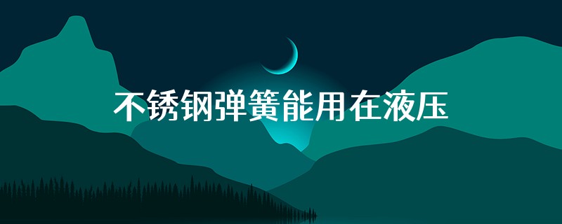 不锈钢弹簧能用在液压机上吗