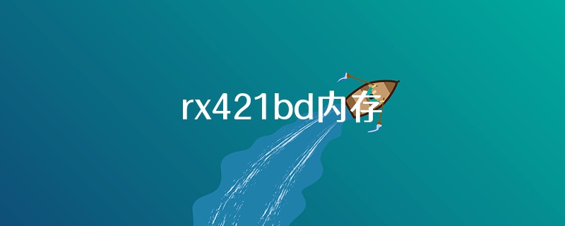 rx421bd内存