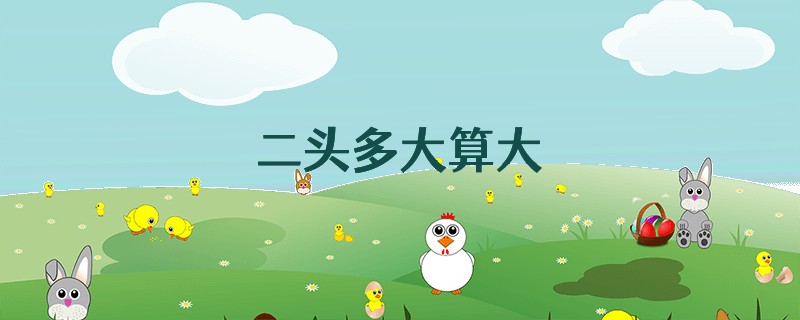 二头多大算大