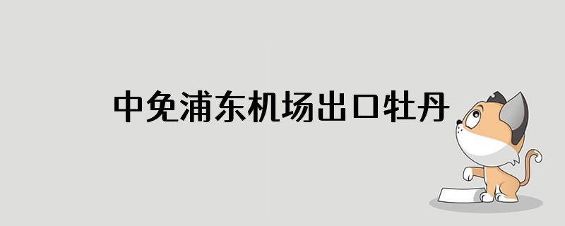 中免浦东机场出口牡丹烟有几种