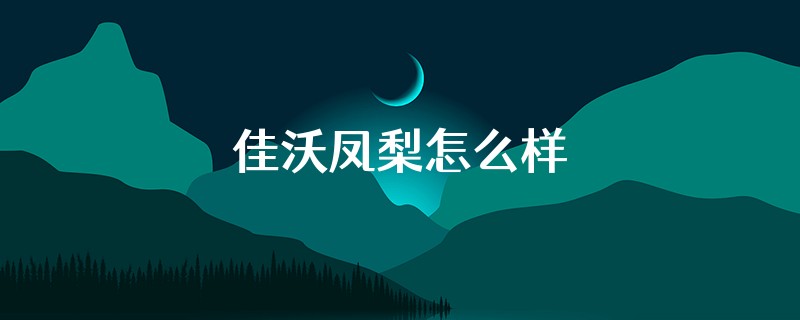 佳沃凤梨怎么样