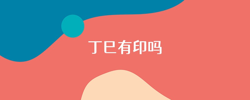 丁巳有印吗