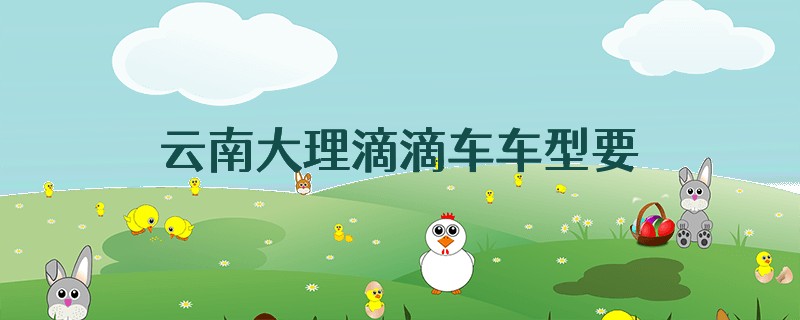 云南大理滴滴车车型要求