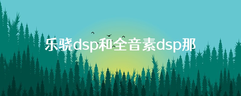 乐骁dsp和全音素dsp那个好