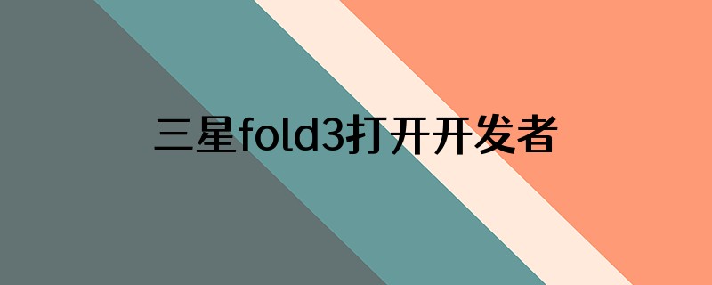 三星fold3打开开发者要输入什么密码