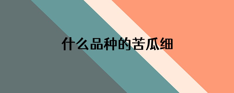 什么品种的苦瓜细