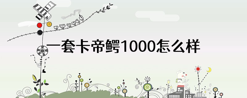 一套卡帝鳄1000怎么样
