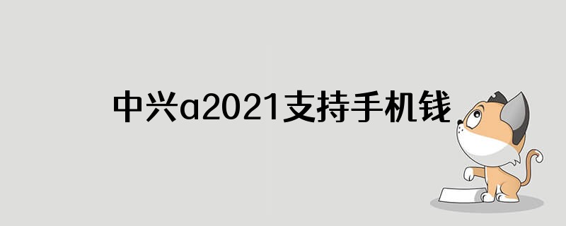 中兴a2021支持手机钱包吗安全吗