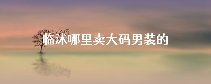 临沭哪里卖大码男装的