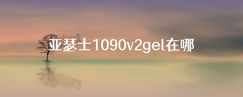 亚瑟士1090v2gel在哪