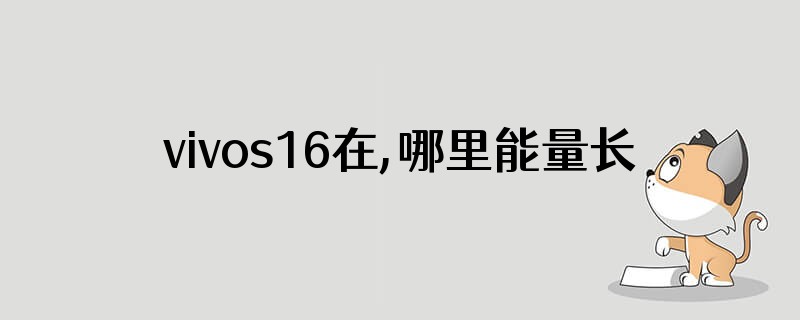 vivos16在,哪里能量长度
