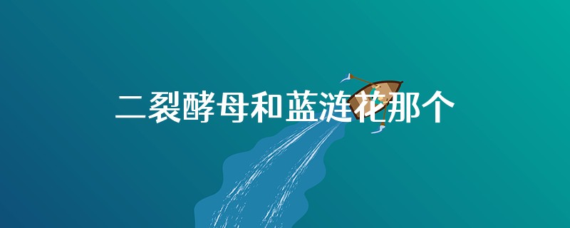 二裂酵母和蓝涟花那个效果好