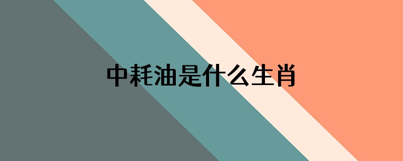 中耗油是什么生肖