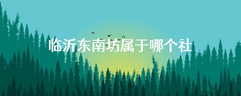 临沂东南坊属于哪个社区
