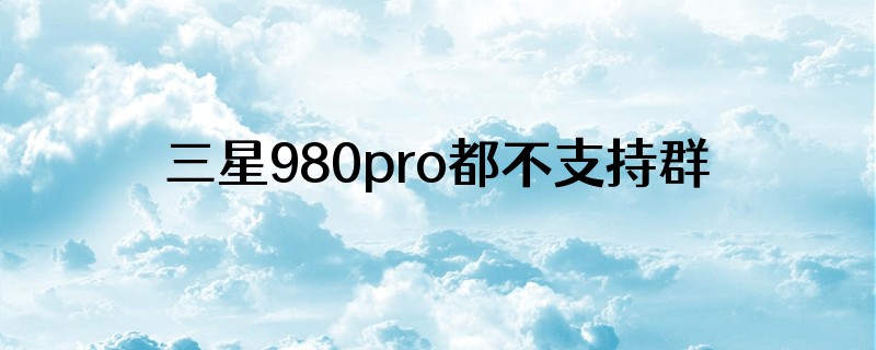 三星980pro都不支持群晖923+存储池吗