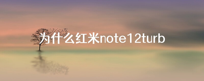 为什么红米note12turbo有部份门卡无法复制?