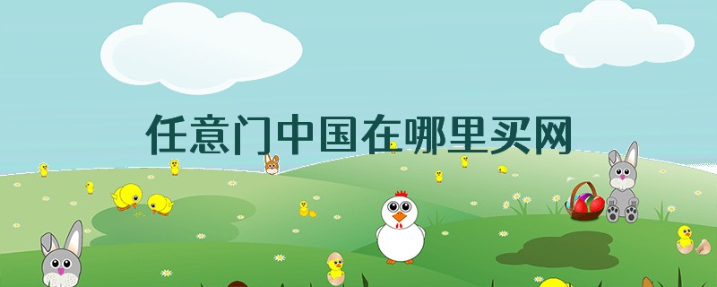 任意门中国在哪里买网站网址