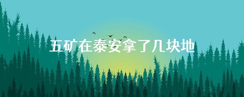 五矿在泰安拿了几块地