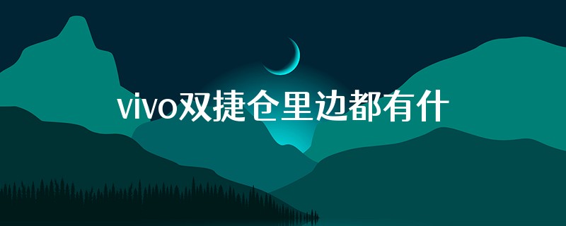 vivo双捷仓里边都有什么