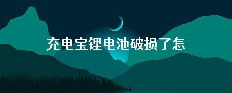 充电宝锂电池破损了怎么处理