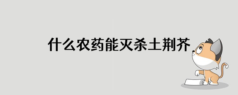 什么农药能灭杀土荆芥