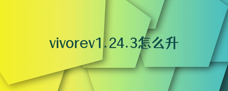 vivorev1.24.3怎么升级
