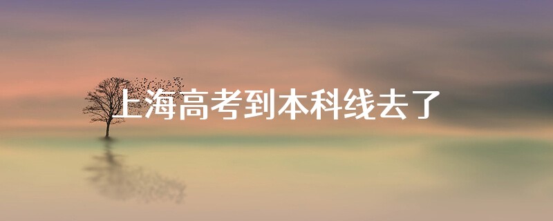 上海高考到本科线去了大专是什么学历