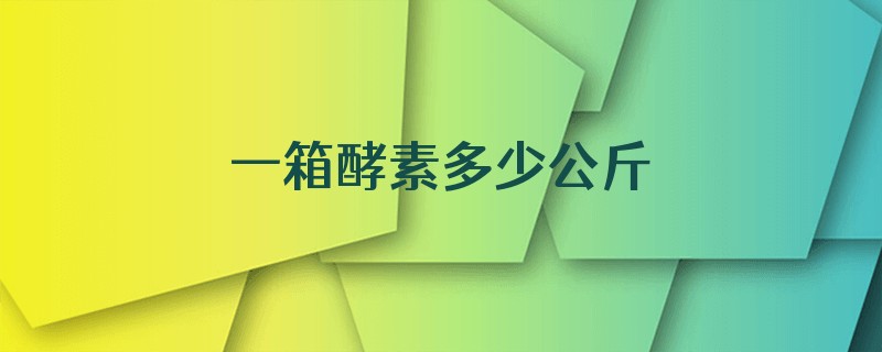 一箱酵素多少公斤