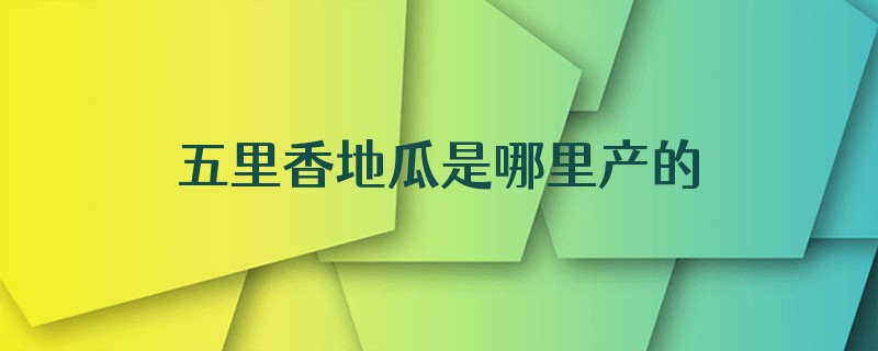 五里香地瓜是哪里产的