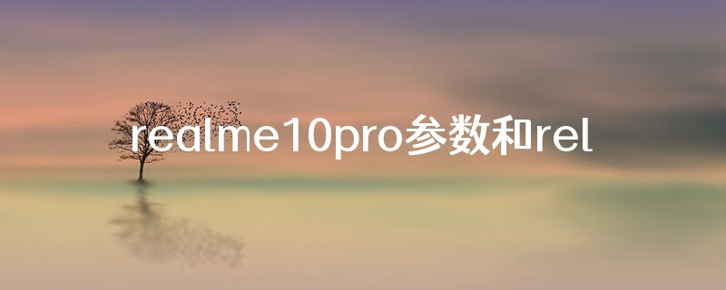 realme10pro参数和relmev5