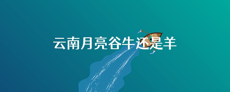 云南月亮谷牛还是羊