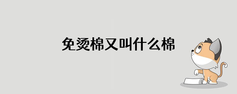 免烫棉又叫什么棉