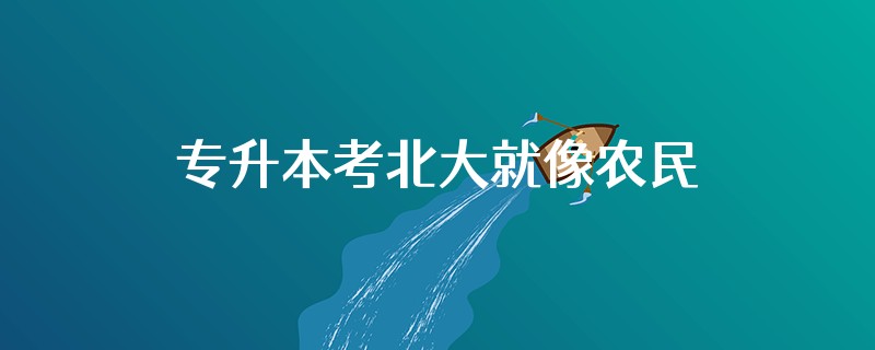 专升本考北大就像农民工之后的话是啥来着