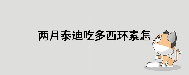 两月泰迪吃多西环素怎么吃