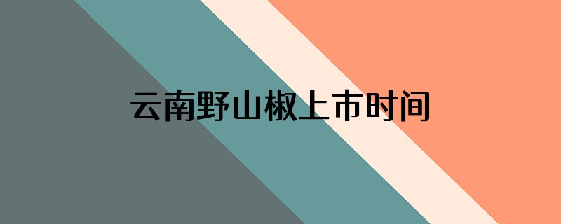 云南野山椒上市时间